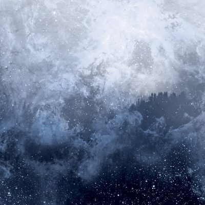 WOLVES IN THE THRONE ROOM – CELESTITE